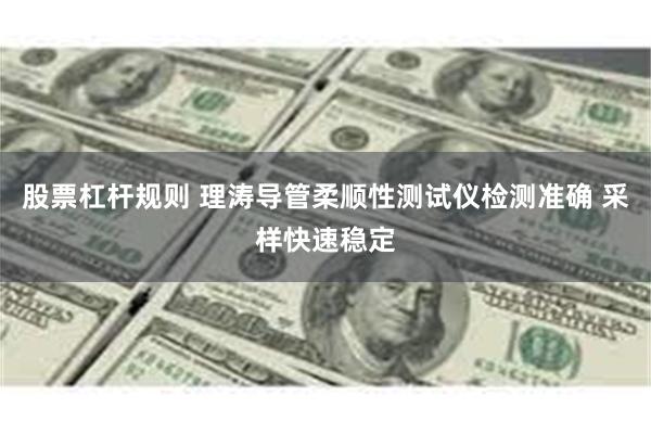 股票杠杆规则 理涛导管柔顺性测试仪检测准确 采样快速稳定