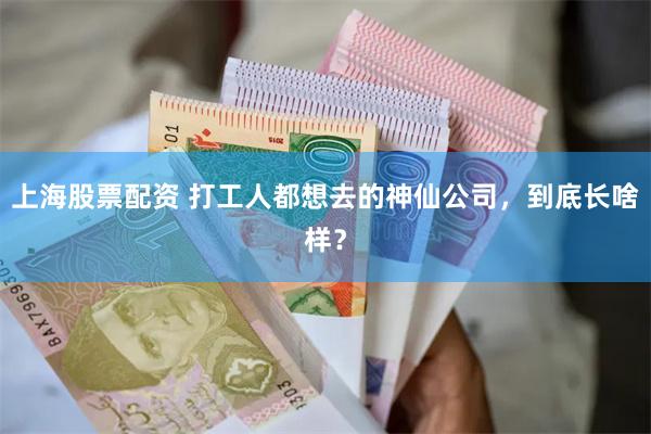 上海股票配资 打工人都想去的神仙公司，到底长啥样？