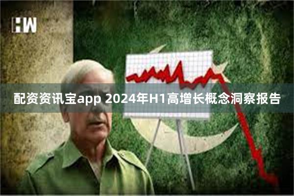 配资资讯宝app 2024年H1高增长概念洞察报告