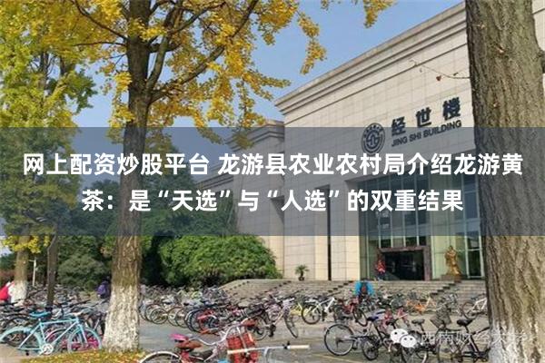 网上配资炒股平台 龙游县农业农村局介绍龙游黄茶：是“天选”与“人选”的双重结果