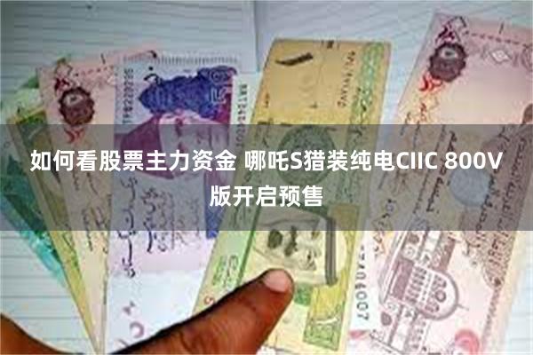 如何看股票主力资金 哪吒S猎装纯电CIIC 800V版开启预售