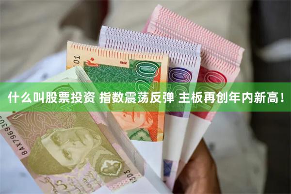 什么叫股票投资 指数震荡反弹 主板再创年内新高！