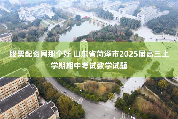 股票配资网那个好 山东省菏泽市2025届高三上学期期中考试数学试题