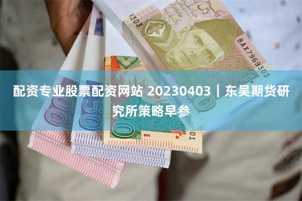 配资专业股票配资网站 20230403｜东吴期货研究所策略早参