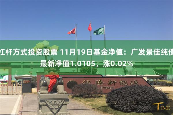 杠杆方式投资股票 11月19日基金净值：广发景佳纯债最新净值1.0105，涨0.02%