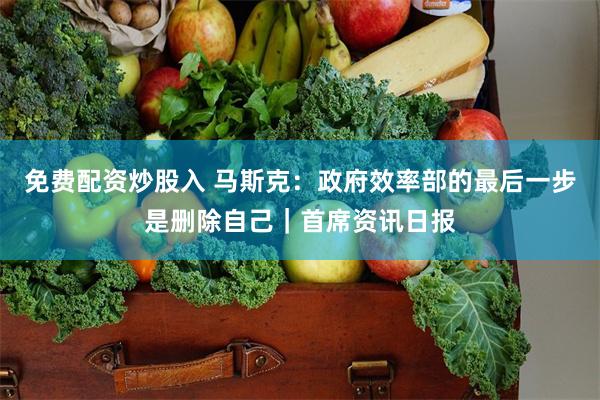 免费配资炒股入 马斯克：政府效率部的最后一步是删除自己｜首席资讯日报