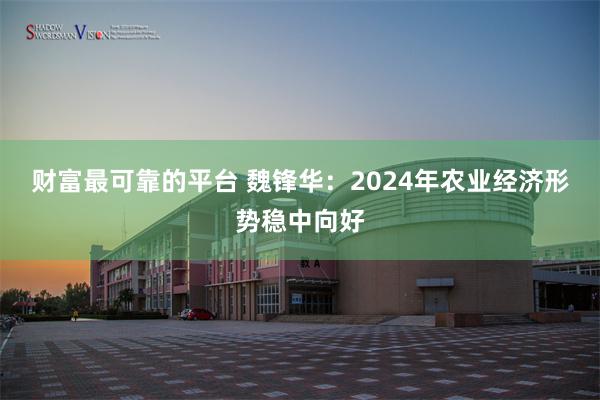 财富最可靠的平台 魏锋华：2024年农业经济形势稳中向好