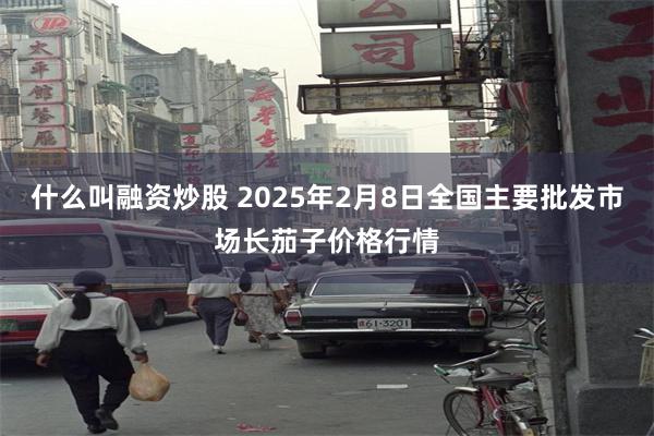 什么叫融资炒股 2025年2月8日全国主要批发市场长茄子价格行情