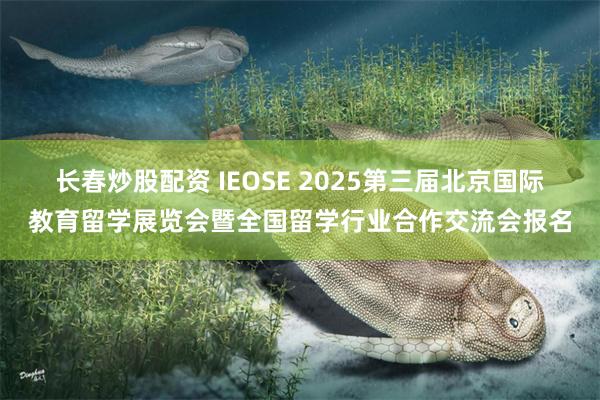 长春炒股配资 IEOSE 2025第三届北京国际教育留学展览会暨全国留学行业合作交流会报名